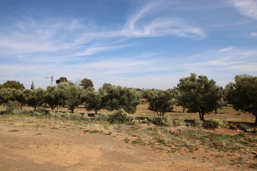 3 Bedroom Property for Sale in Fraserburg Northern Cape